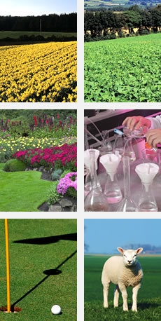 Images symbolising the markets PB Kent serves